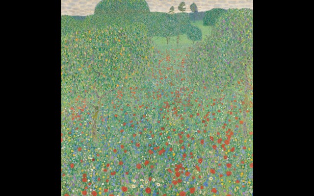 Blühender Mohn Mohnwiese (1907)