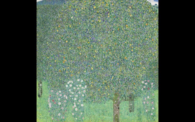 Rosebushes under the Trees (circa 1905)