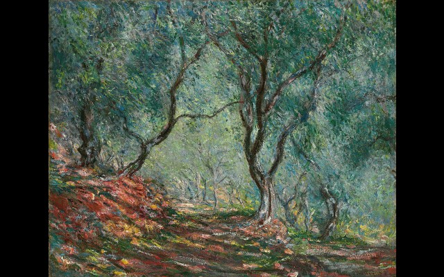 Bois d’oliviers au jardin Moreno (1884)